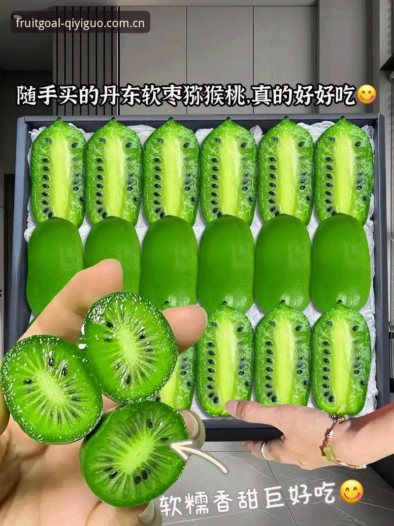 奇异果体育安装网页登录哪个好？一份基于实际体验的深度评测报告